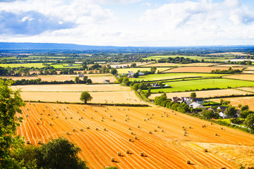 Countryside landscape with meadow and sky. Hay bales or straw on agricultural fields. Rural nature in the farm land. Wheat harvest, grain crop, harvesting