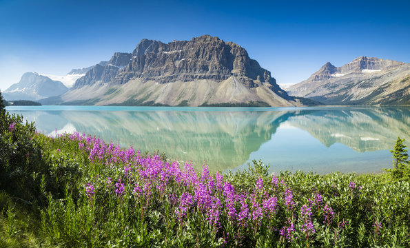 Bow Lake