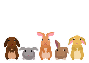 cute rabbits border