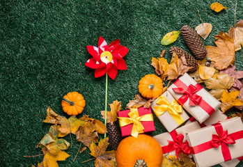 Pumpkin and autumn season leaves with pinwheel toy