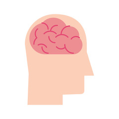 human brain inside head sideview icon image vector illustration design 