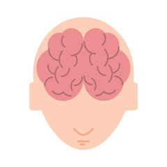 human brain inside head topview icon image vector illustration design 