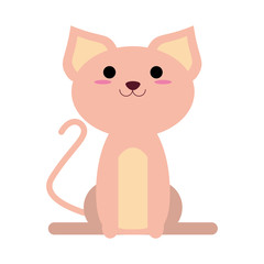 cat cartoon icon image vector illustration design 