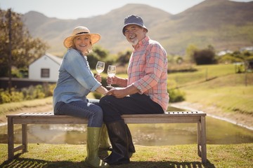 Senior couple enjoying white wine while sitting on a bench in