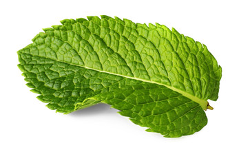 Obraz premium Fresh mint leaf on white background