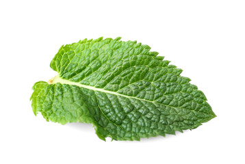 Fresh mint leaf on white background