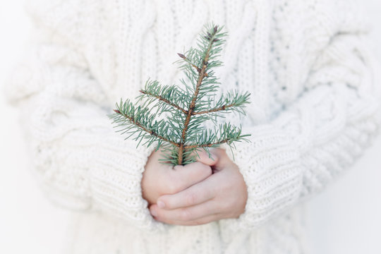 Close up of a child holding a small christmas tree