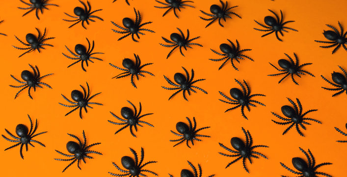 Small black spiders on orange background/miniature.