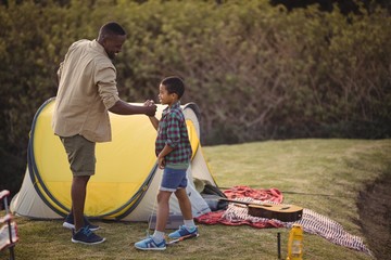 Father and son shaking hands in park