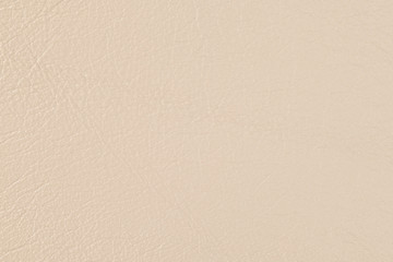 High resolution texture. Background. Skin.