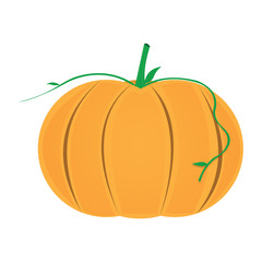 Isolated pumpkin icon on a white background, vector illustration