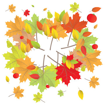 Isolated background of colorful autumn leaves, vector illustration