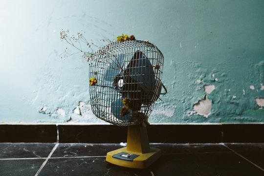 vintage fan