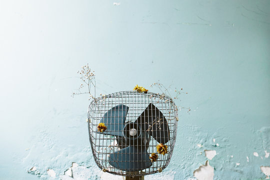 vintage fan