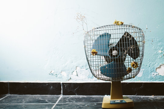 vintage fan