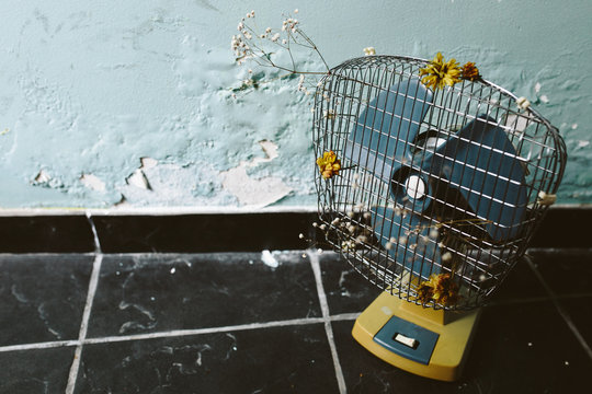 vintage fan