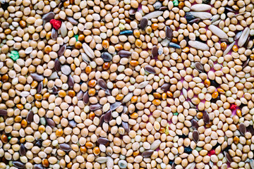Texture of bird food