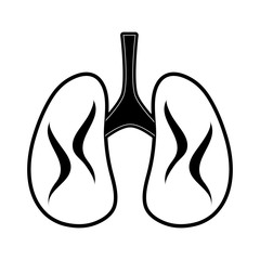 lungs anatomy icon image vector illustration design
