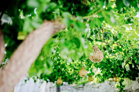 Griechenland, Kykladen, Naxos, Stadtspaziergang in Naxos