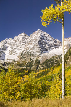 Fall Foliage in Colorado