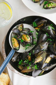Mussels in shell in ladle in pan with herbs