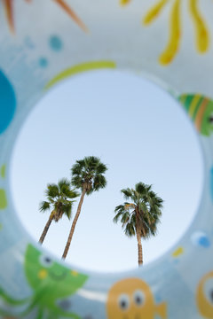Pool float and palm trees.