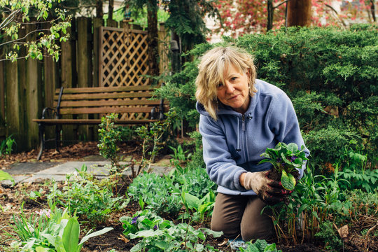 Smiling middle age woman gardening