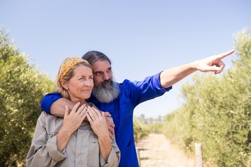 Couple pointing at distance in olive farm