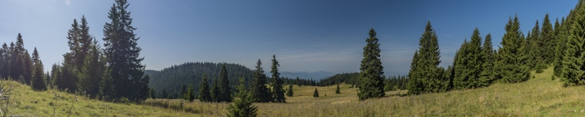 Fototapeta na wymiar Meadow under Velky Choc hill in north Slovakia in summer