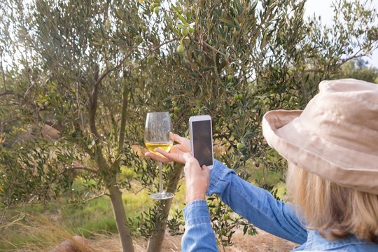Woman taking a photo of wine glass in olives farm - Powered by Adobe