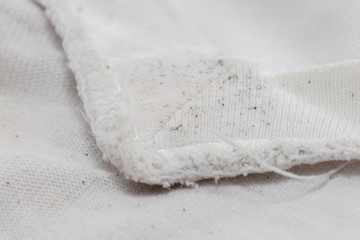 moldy of the dirty cloth