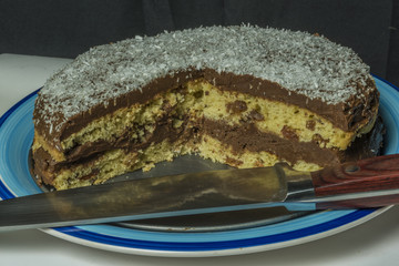 Coconut chocolate cake on blue dish