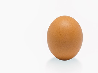  Closeup Egg chicken.