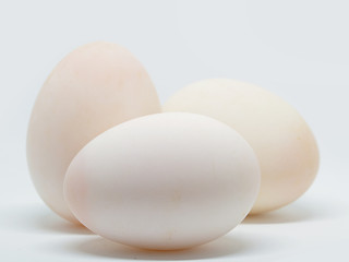 Closeup Duck eggs.