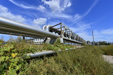 Fototapeta premium The pipe and valve oil fields