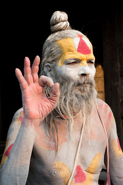 Portrait of a sadhu on a temple