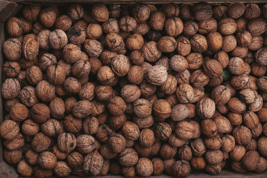Walnuts in shell