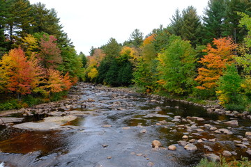 Fall at the creek