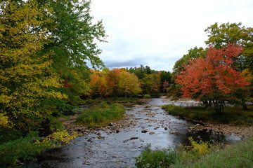 Fall trees beside the water