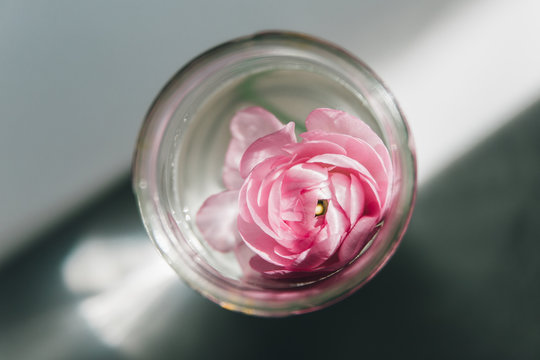 Buttercup in a small jar
