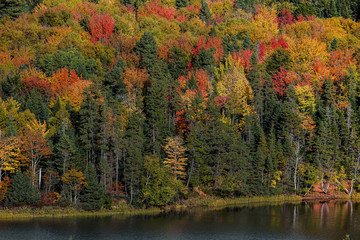 Bright autumn foliage along a river in rural Prince Edward Island.