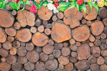 wood background