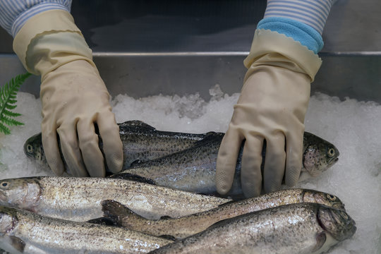 PESCADERA EN PESCADERIA