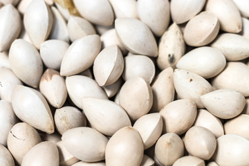 Ginkgo biloba dried seeds.