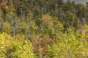 view to the white Mountains in New Hampshire