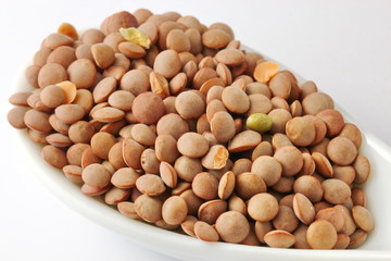 Brown lentils
