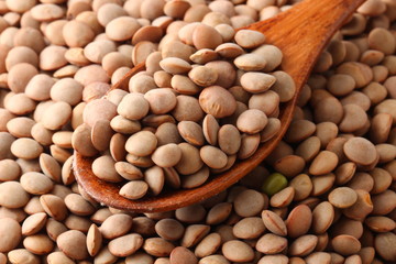 Brown lentils