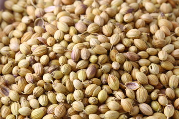 Coriander seeds