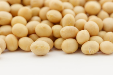 pile of dried soy beans on white background