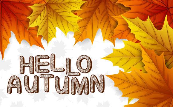 Autumn leaves with lettering on white background